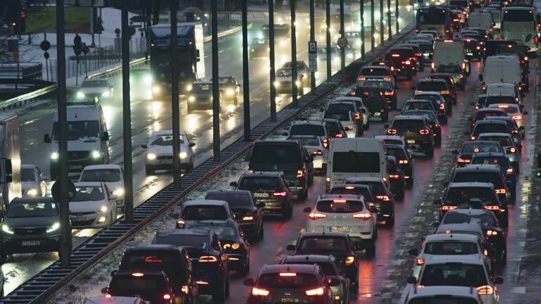 Canopy Restoration Plan